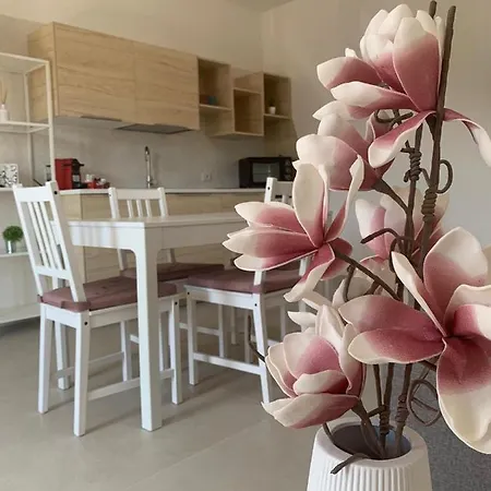 アパート Romeo&giulietta モノーポリ